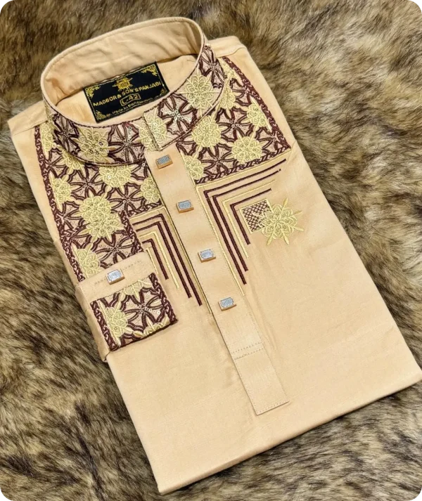 premium panjabi